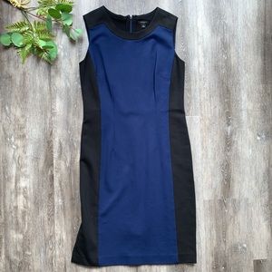 Ann Taylor A-Line Sheath Sleeveless Dress